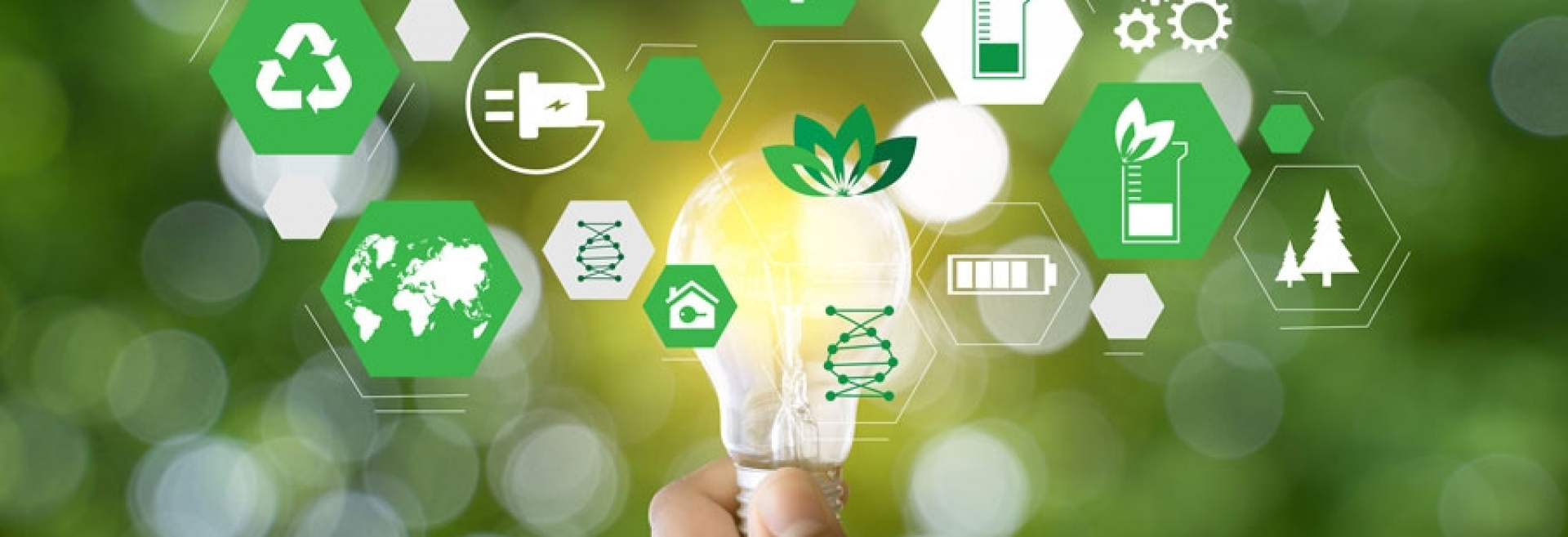 ebök erarbeitet Konzept für klimagerechtes Quartier